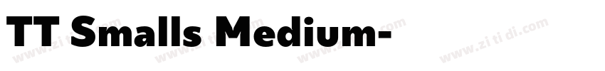 TT Smalls Medium字体转换 TT Smalls Medium字体转换